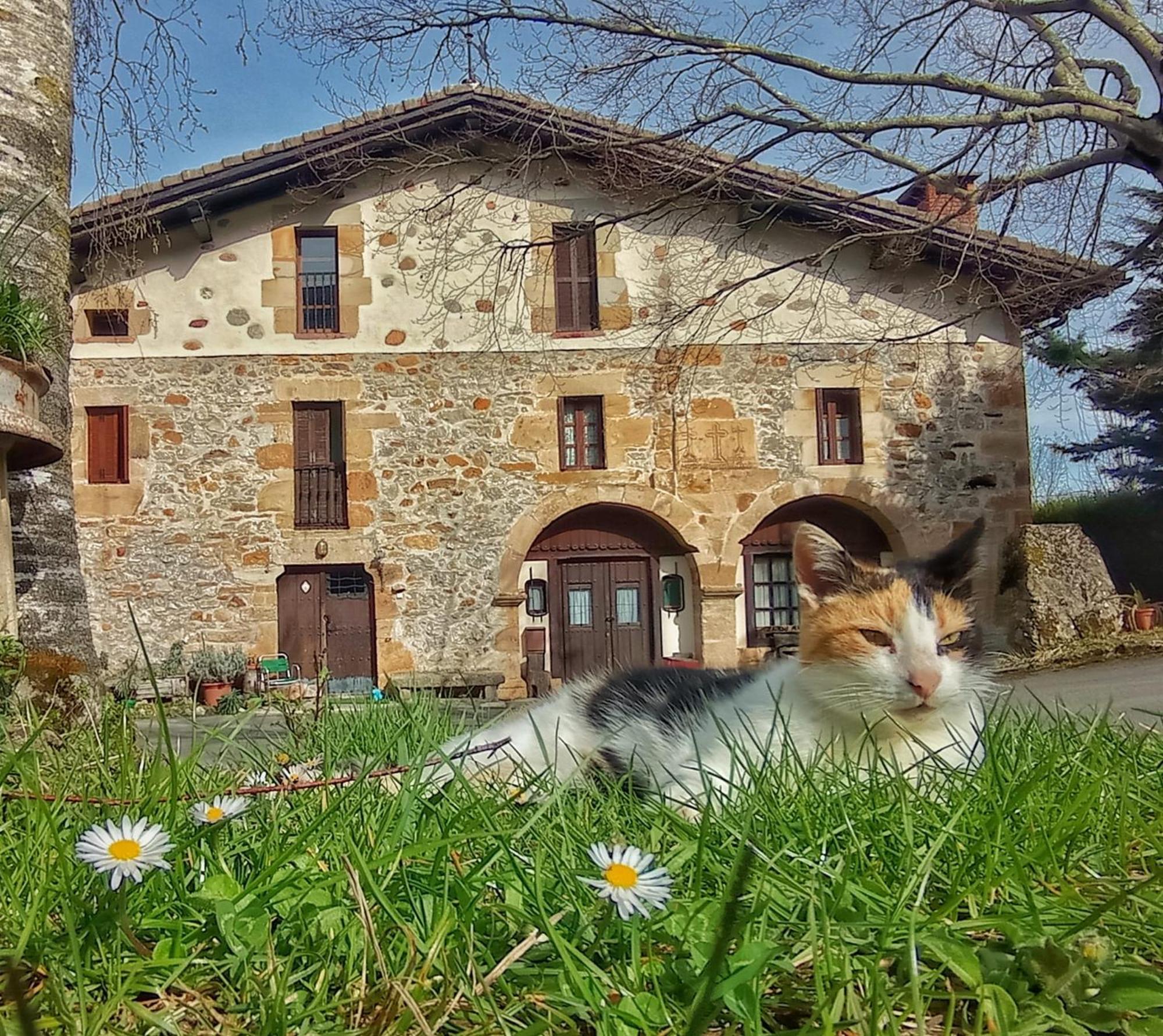 Casa Rural Areano Guest House Escoriaza Bagian luar foto