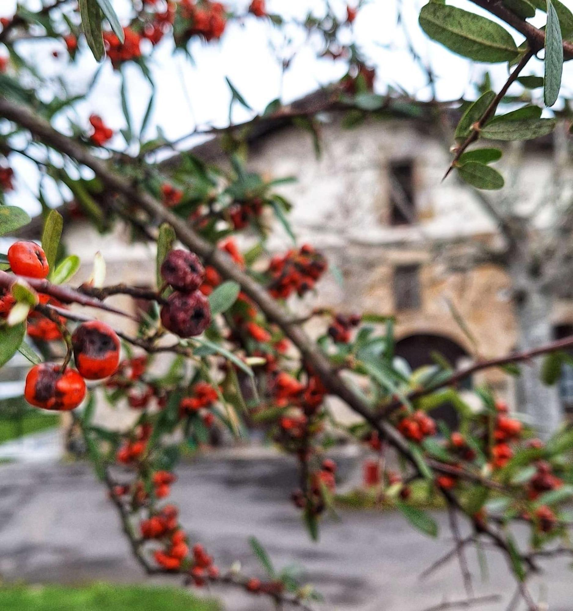 Casa Rural Areano Escoriaza Bagian luar foto